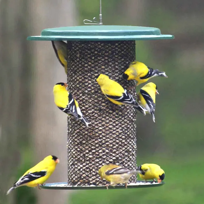 3 Qt. Metal Safflower Feeder, Green