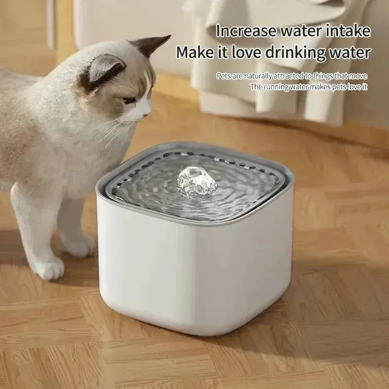 3L Pet Water Fountain & Feeder