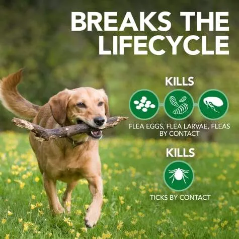 Advanced Strength Natural Flea   Tick shampoo