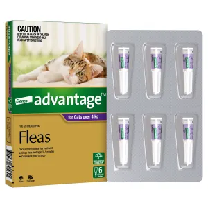 Advantage Flea Treatment for Cats 4kg Purple 6 Pack^^^