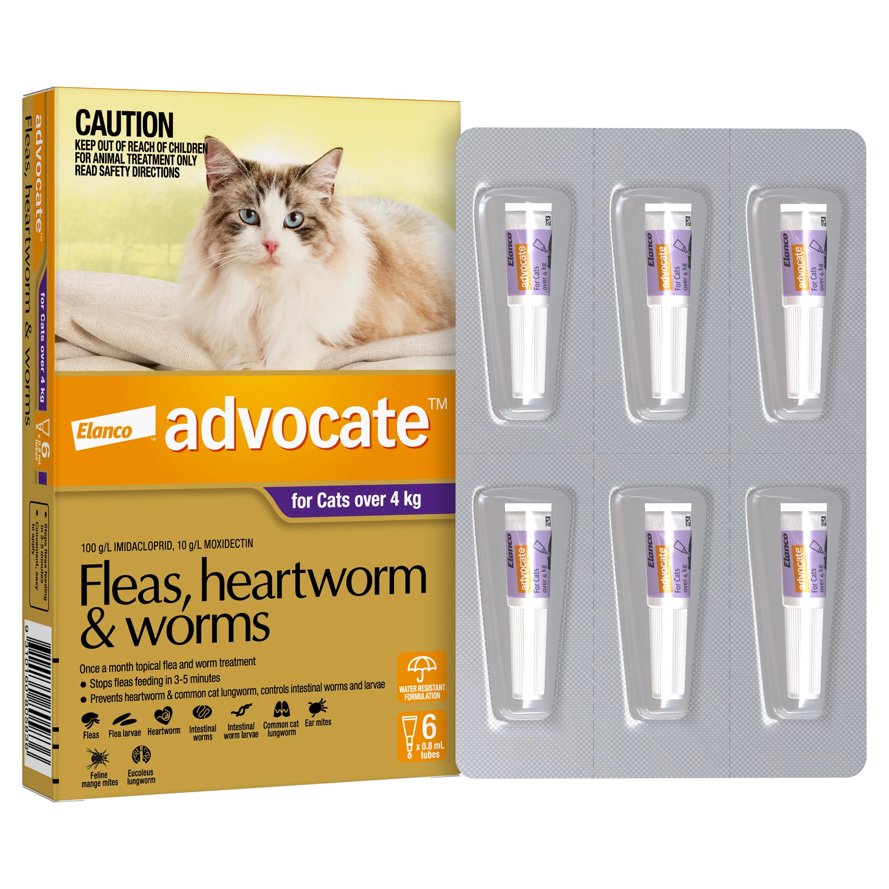 Advocate - Cat over 4kg (6pk)