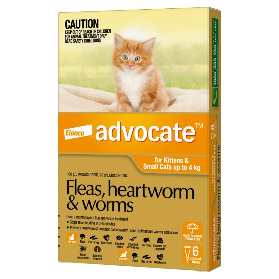 Advocate Cat Small Orange