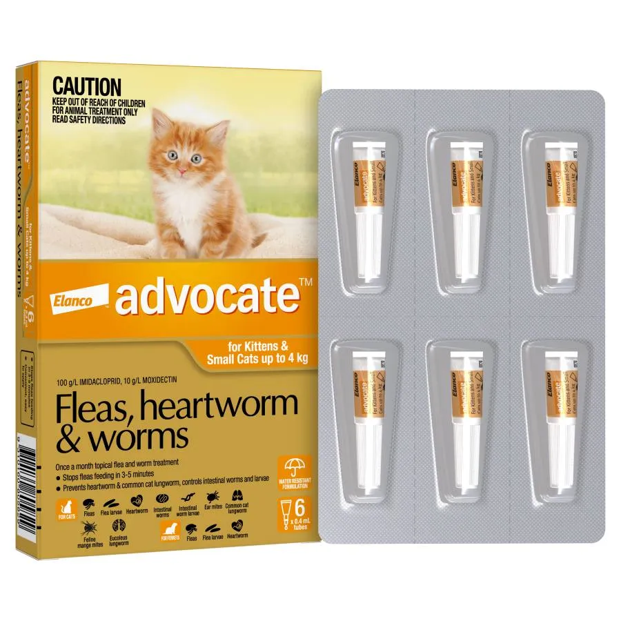 Advocate Cat Small Orange