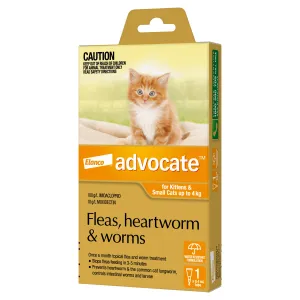 Advocate Cat Small Orange