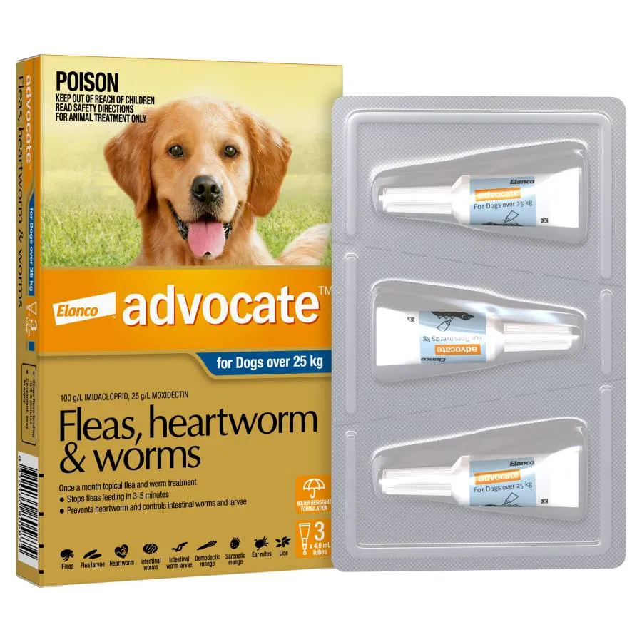 Advocate Dog Extra Large Grey