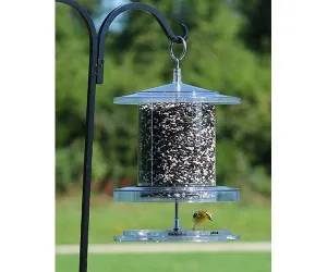 All Weather Feeder 4 Qt. Clear