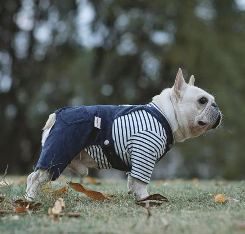 Autumn and winter cotton stretch corduroy four-legged overalls pet clothes