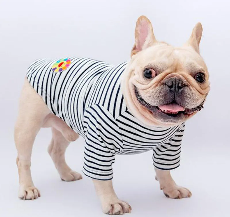 Autumn and winter cotton stretch corduroy four-legged overalls pet clothes