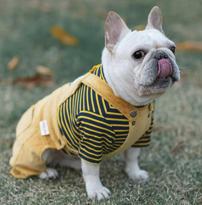 Autumn and winter cotton stretch corduroy four-legged overalls pet clothes