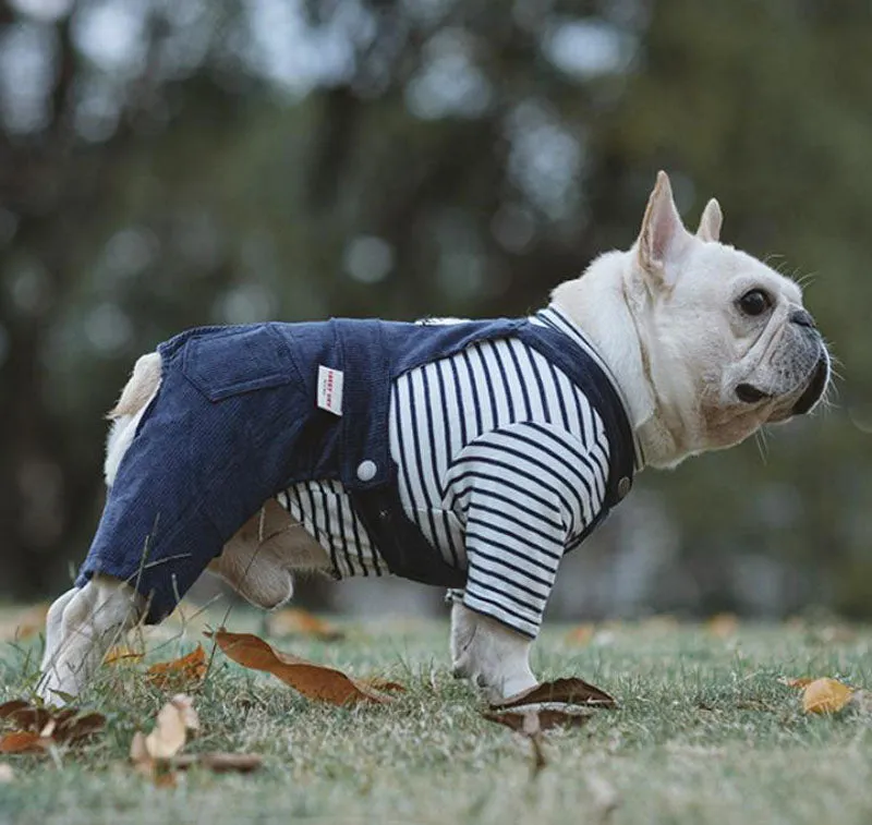 Autumn and winter cotton stretch corduroy four-legged overalls pet clothes