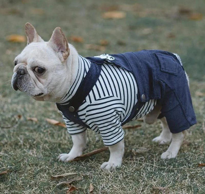 Autumn and winter cotton stretch corduroy four-legged overalls pet clothes