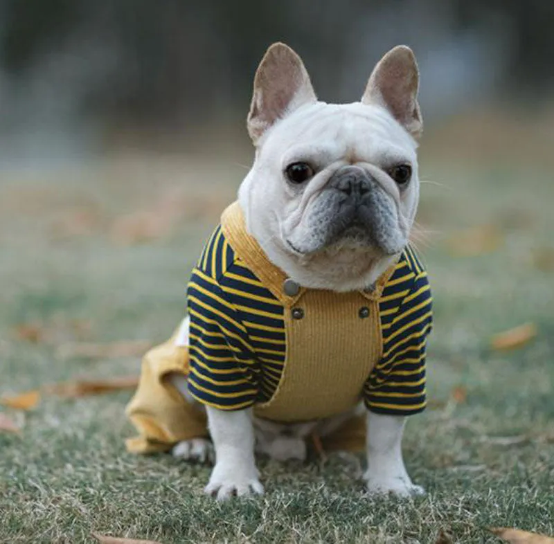 Autumn and winter cotton stretch corduroy four-legged overalls pet clothes