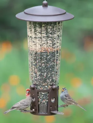 Bird Feeder - Squirrel Be Gone Max