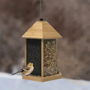 Bird Feeder - Trio Bamboo