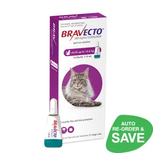 Bravecto Spot-On Large Cat 6.25-12.5kg