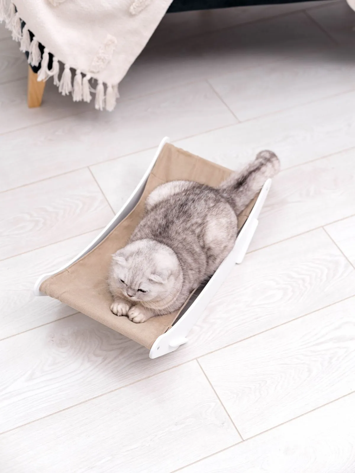 Cat Hammock Bed