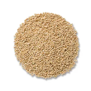 Cole's White Millet Wild Bird Seed, 10-lb bag