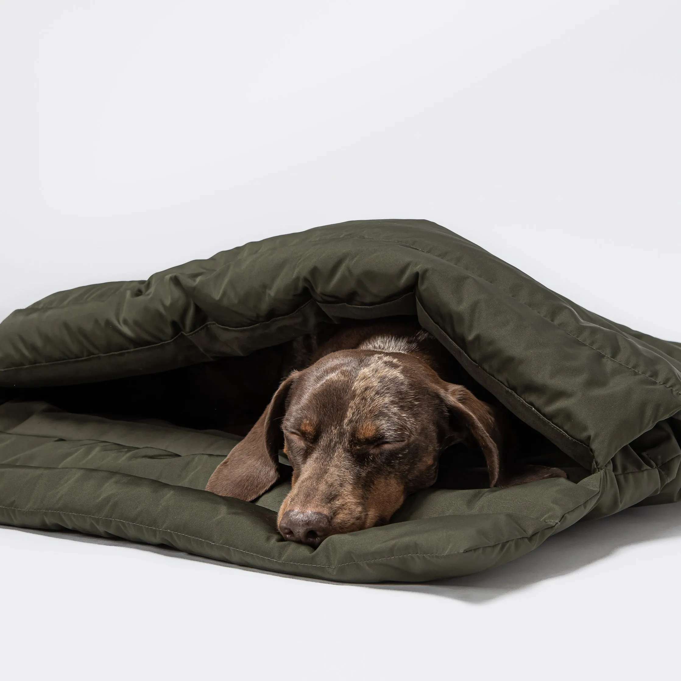 Dog Sleeping Bag Vancouver Olive from Cloud 7