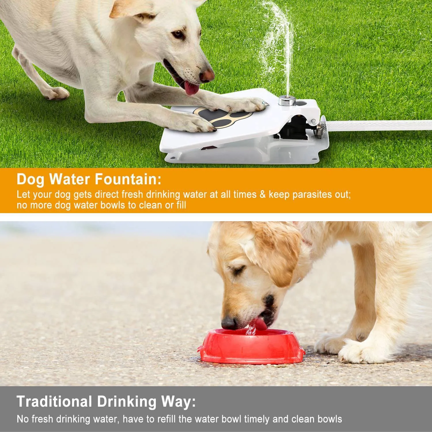 Dog Water Fountain