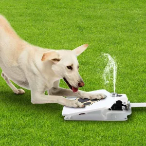 Dog Water Fountain