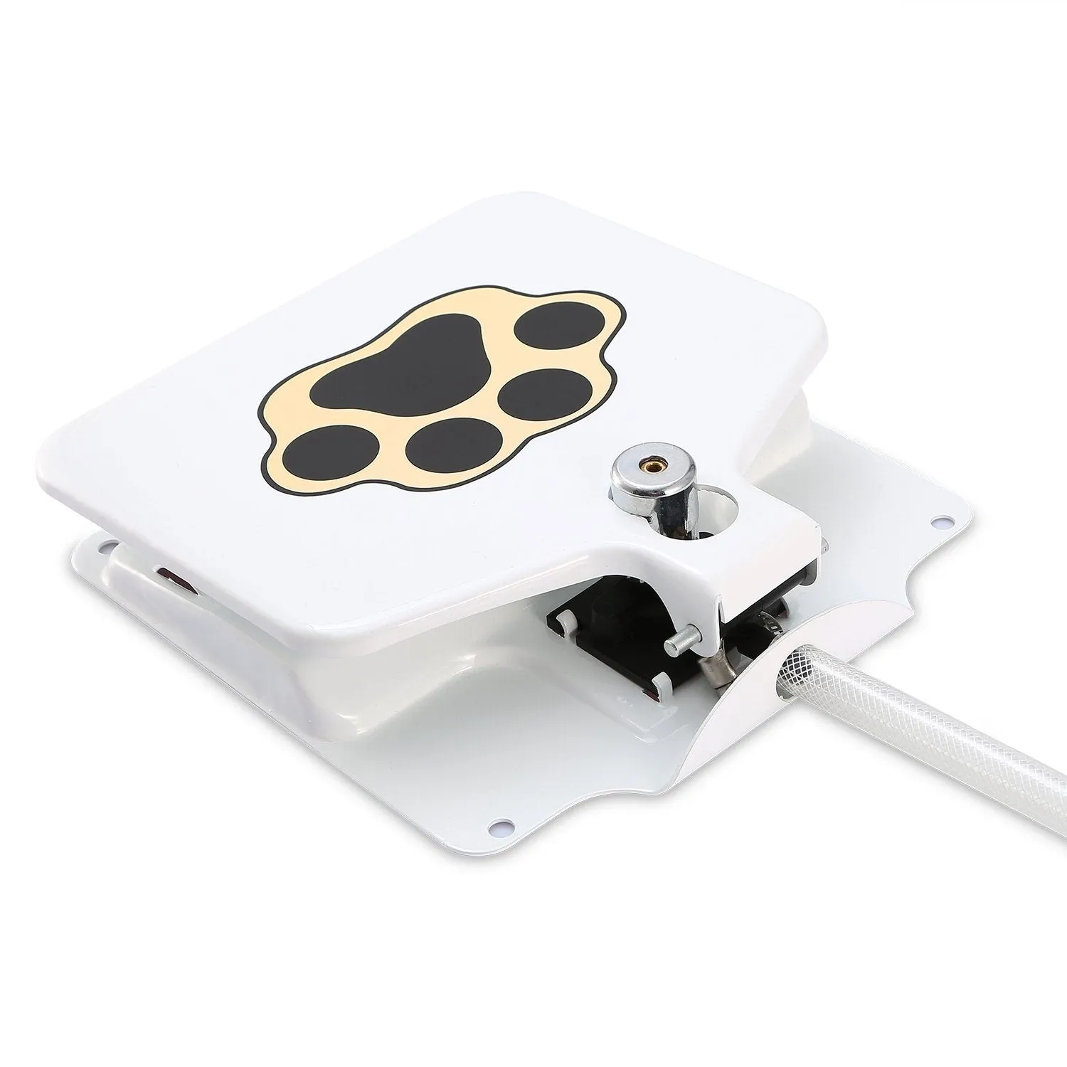 Dog Water Fountain