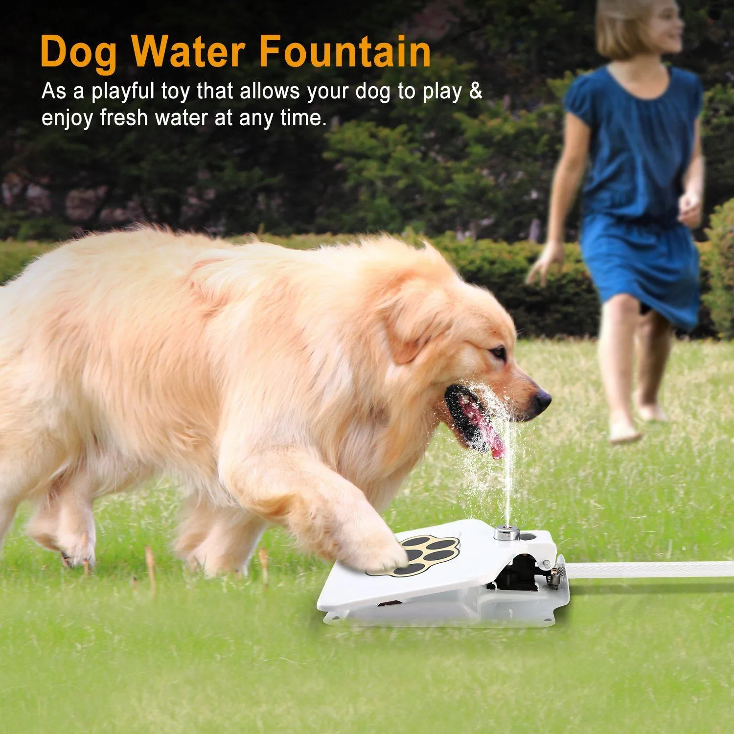 Dog Water Fountain