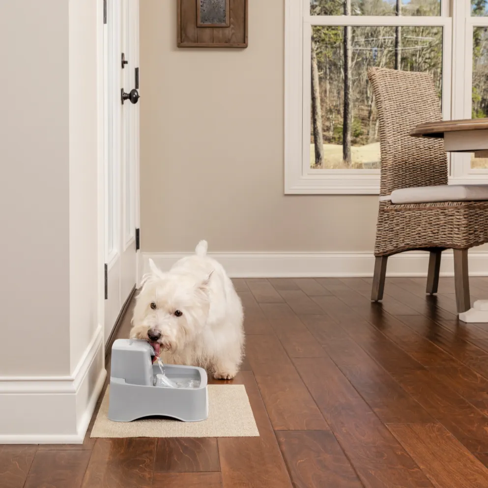 Drinkwell® 1.8 Litre Pet Fountain