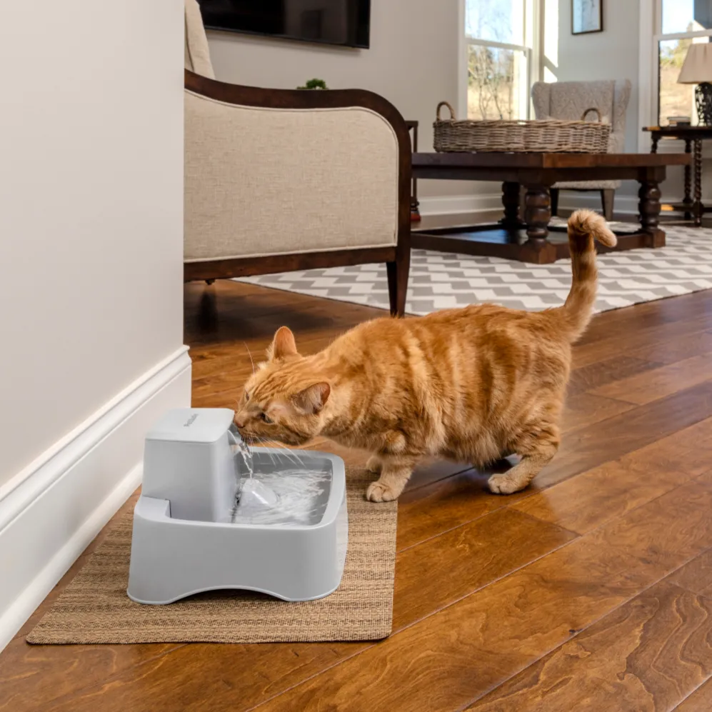 Drinkwell® 1.8 Litre Pet Fountain