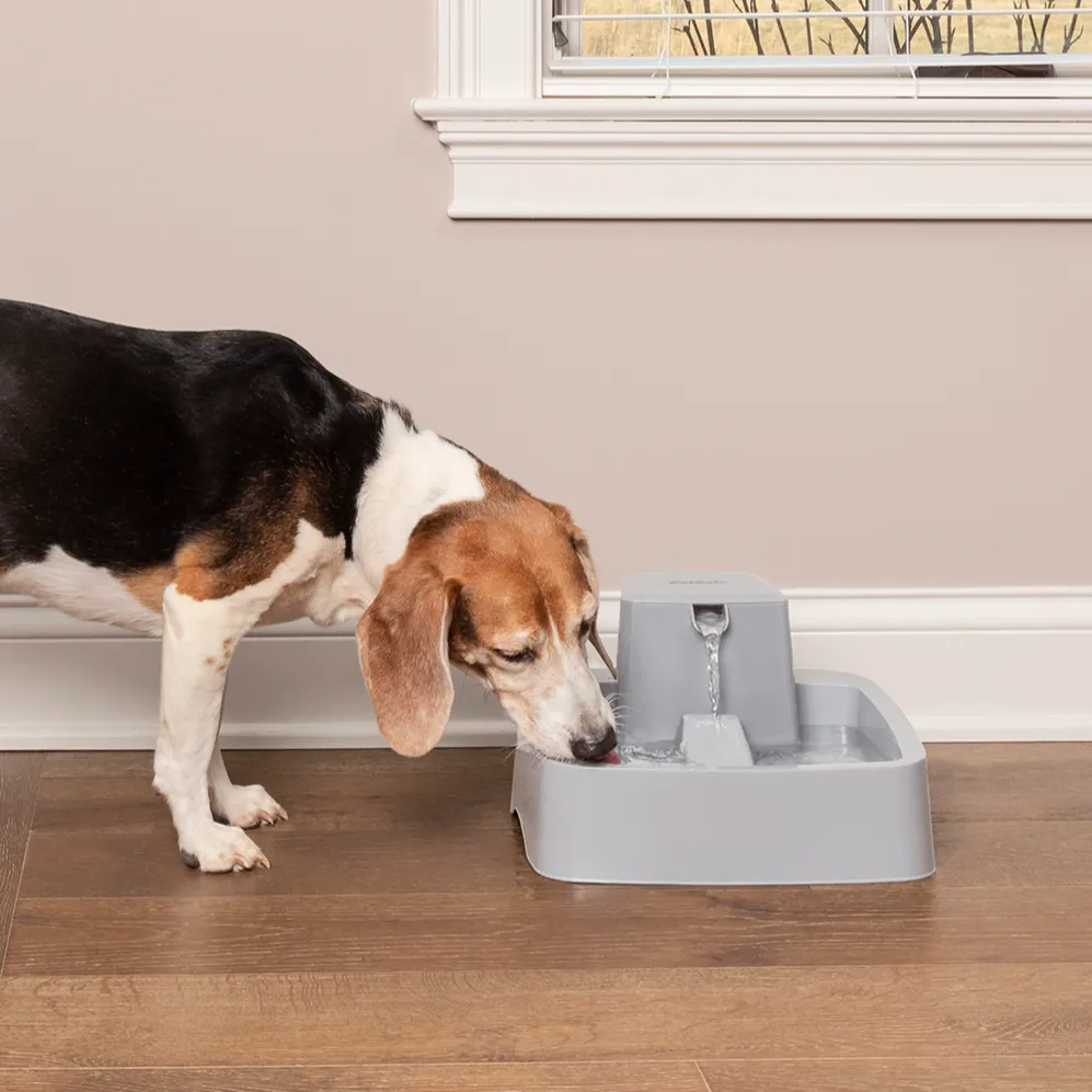 Drinkwell® 3.7 litre Pet Fountain