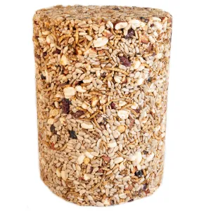 Duncraft Nuts & Bugs Seed Cylinder, Large