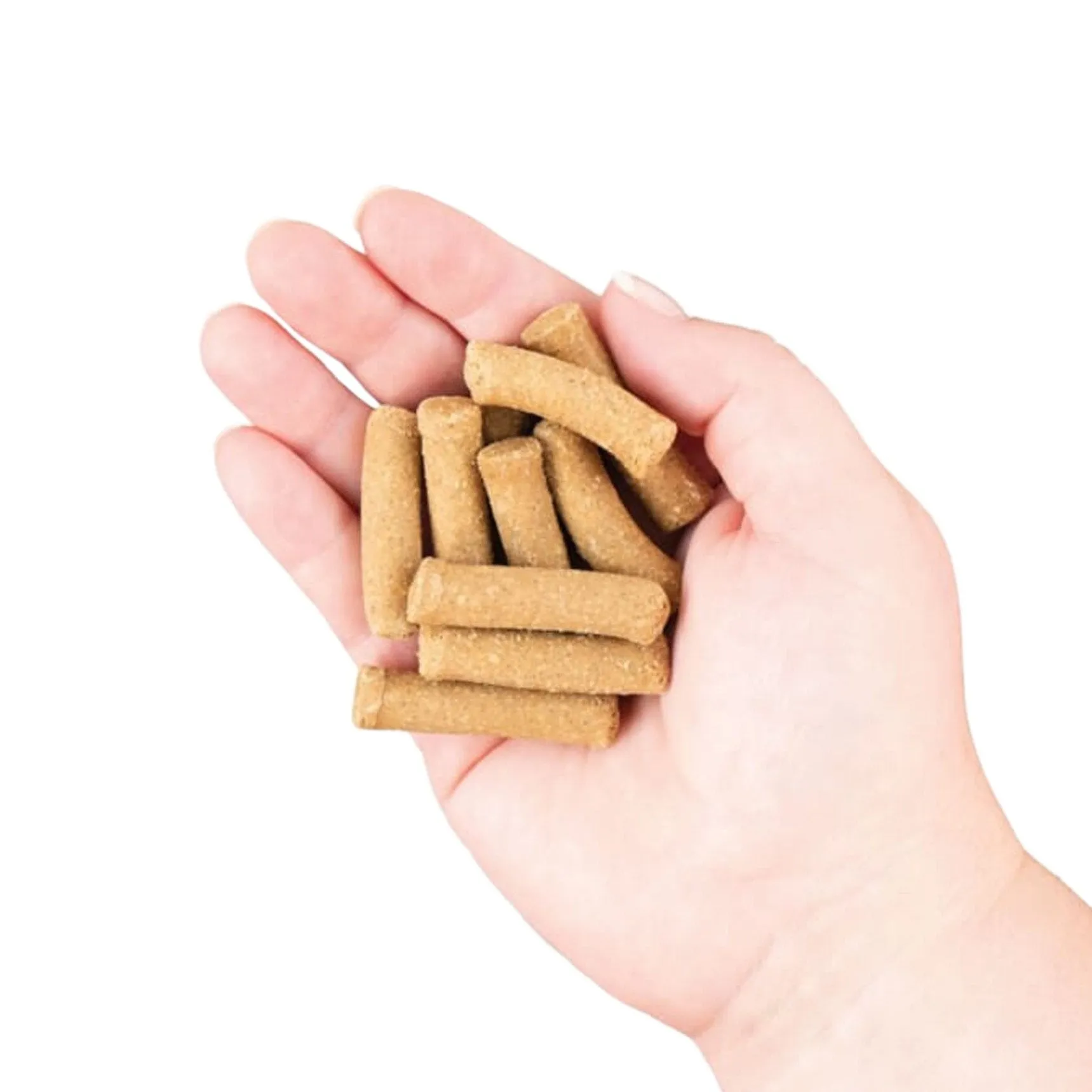 Earthborn Holistic EarthBites Chewy Grain-Free Dog Treats