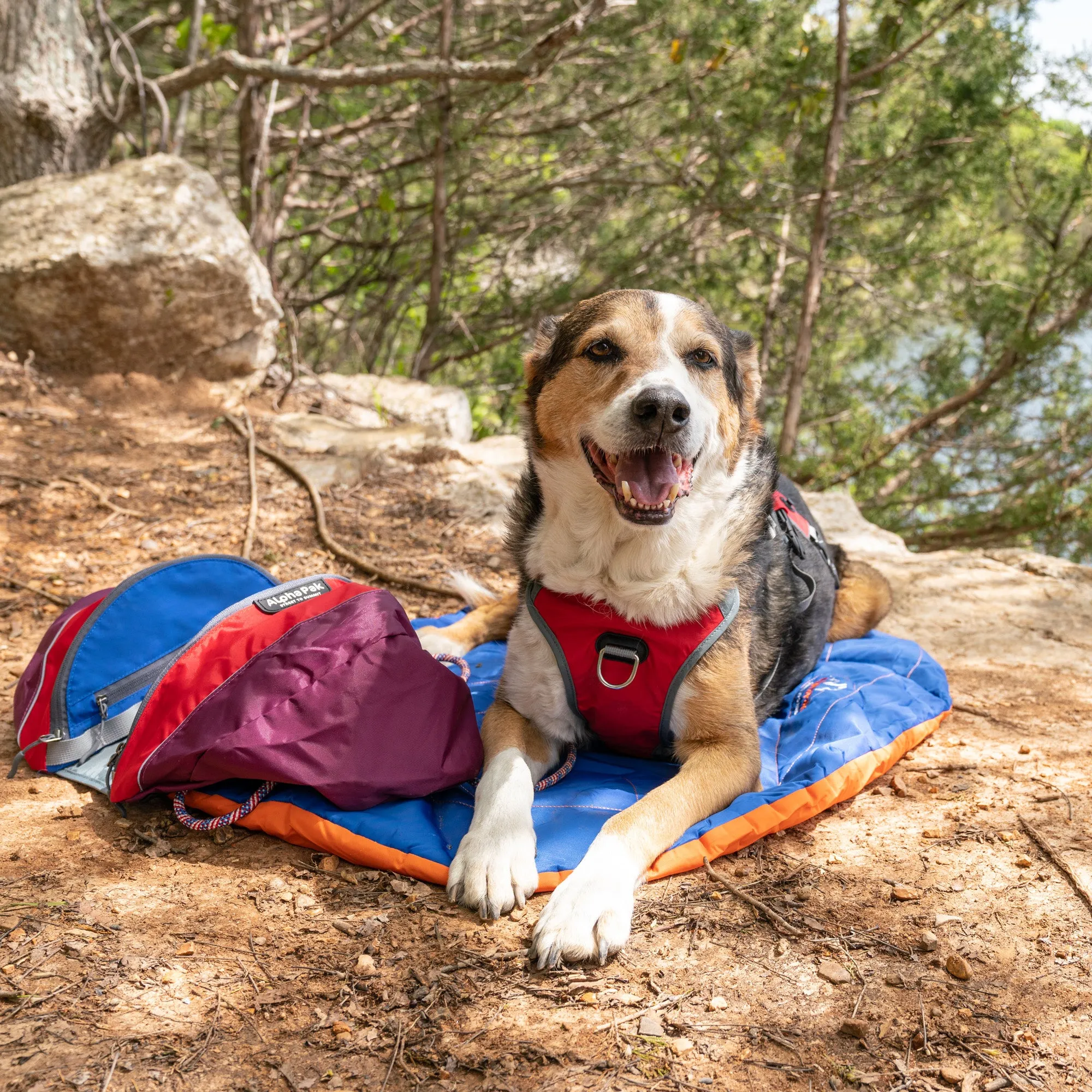 Eclipse Blue Compressible Waterproof Dog Sleeping Mat - WHOLESALE