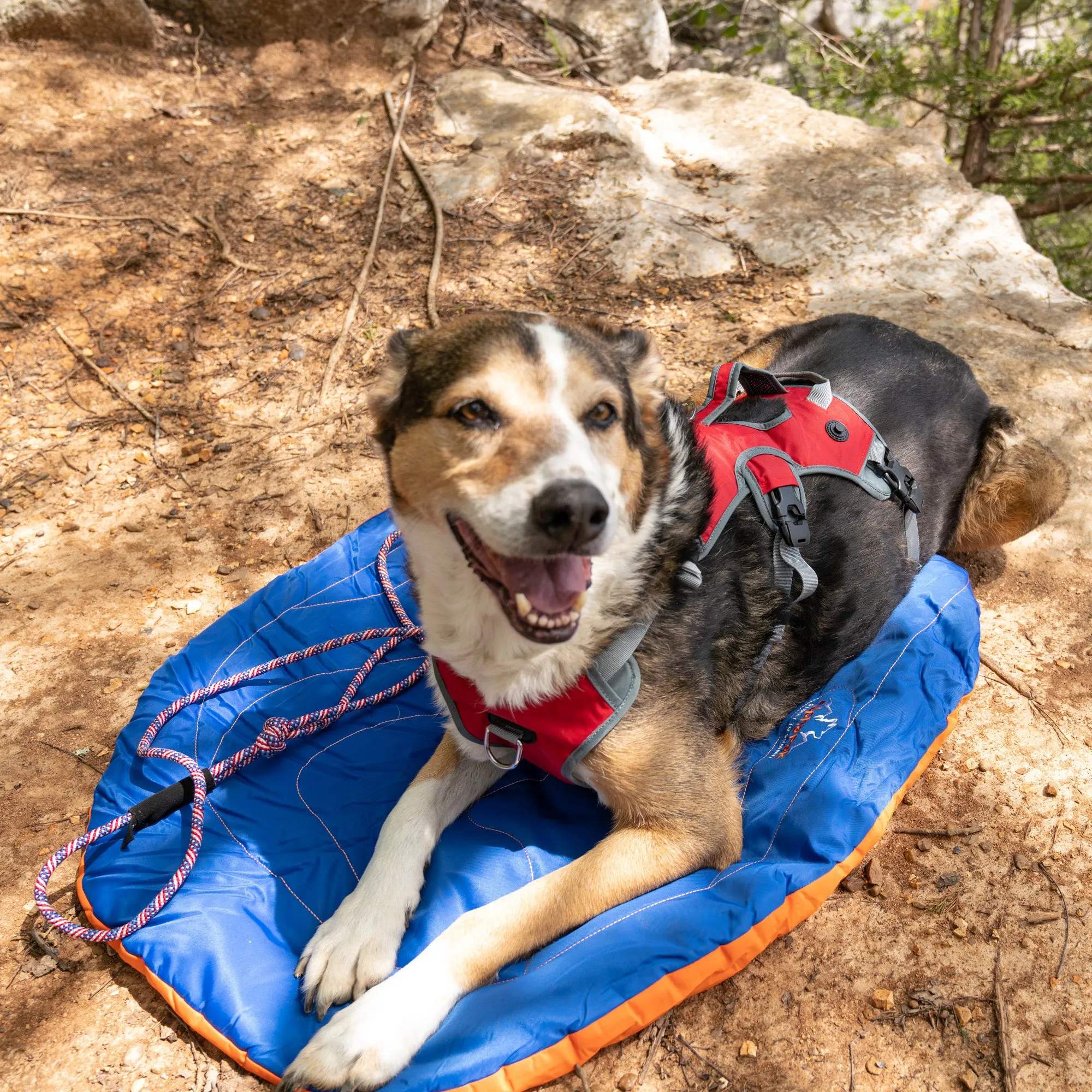 Eclipse Blue Compressible Waterproof Dog Sleeping Mat - WHOLESALE