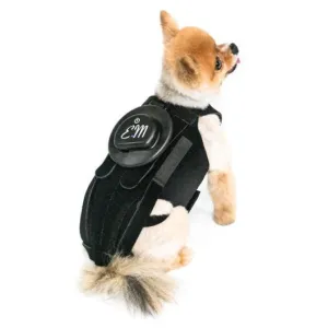 EMbrace L'il Back System (EMpower   L'il Back Bracer)
