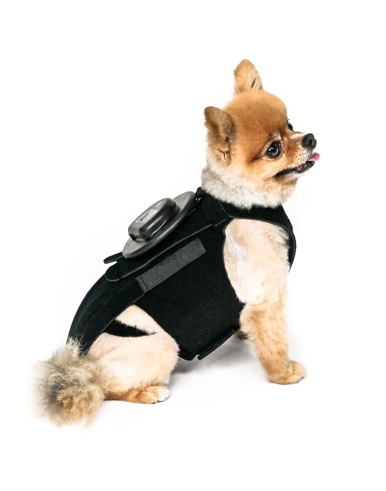 EMbrace L'il Back System (EMpower   L'il Back Bracer)