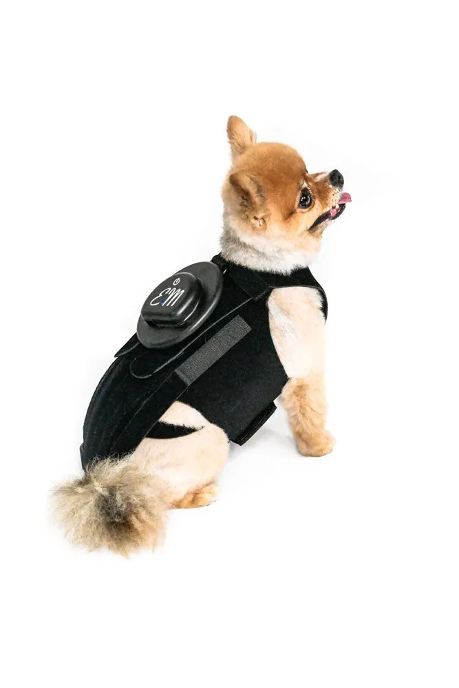 EMbrace L'il Back System (EMpower   L'il Back Bracer)