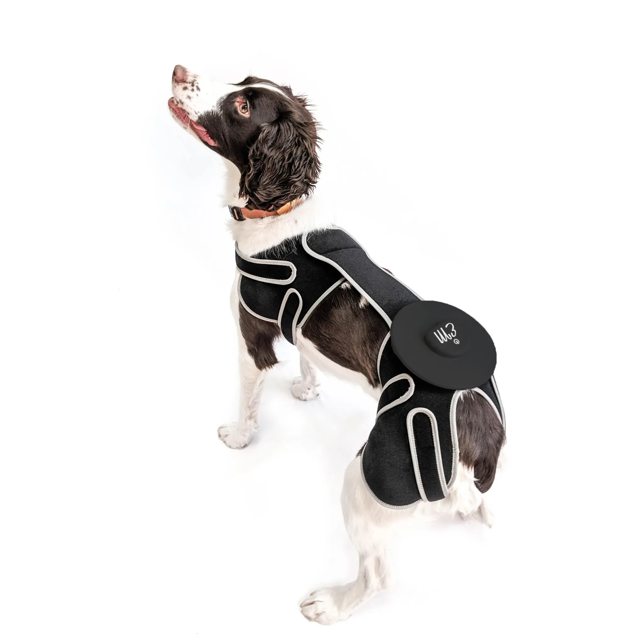 EMbrace Relief System | Hip, Back, & Shoulder Therapy