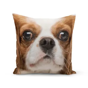 Face Splat Cushion