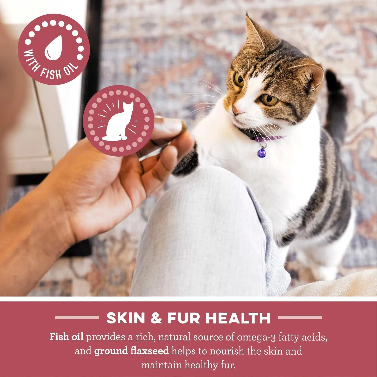 FELINE  SMARTBITES Skin & Fur Health Crunchy and Soft Textured Adult Natural Cat Treats, Chicken Flavor, 16 Oz. Tub