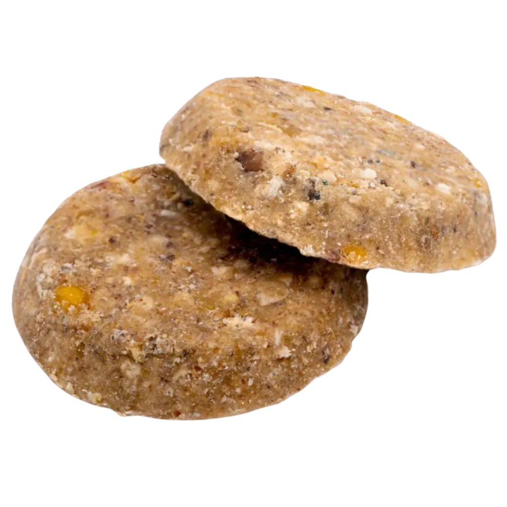 Frozzys Dog Treat - Happy Gut - Peanut, Banana & Coconut