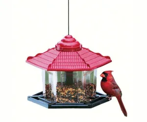 Gazebo Bird Feeder