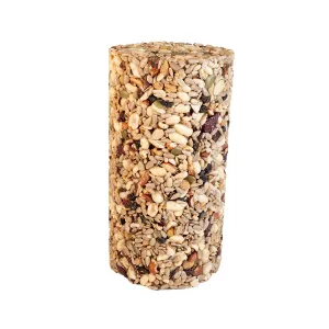 Hi-Energy Woodpecker Seed Cylinder, Small