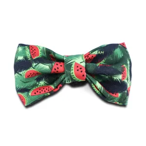 HiDREAM Profusion Bowtie for Cats & Dogs (Watermelon)