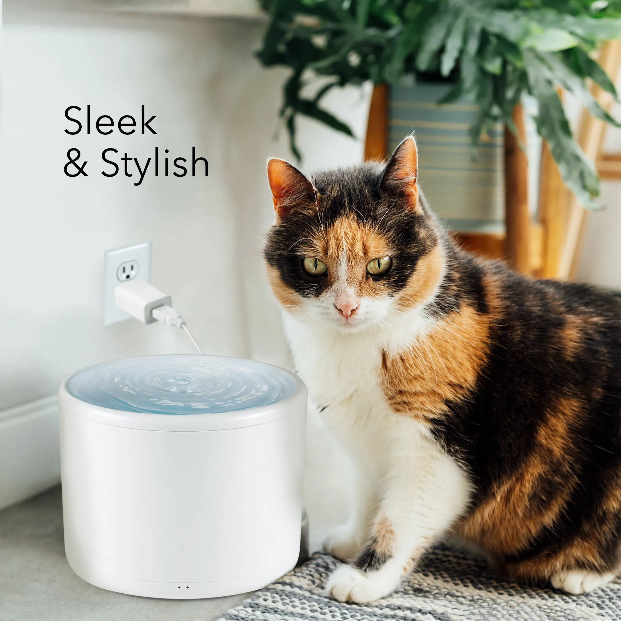 HOM Pet Water Fountain - 2L Automatic Cat Water Fountain, Dog Water Dispenser with Filtration System, for Cats & Dogs