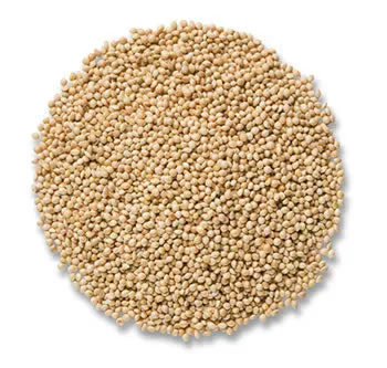 Leach Millet Seed