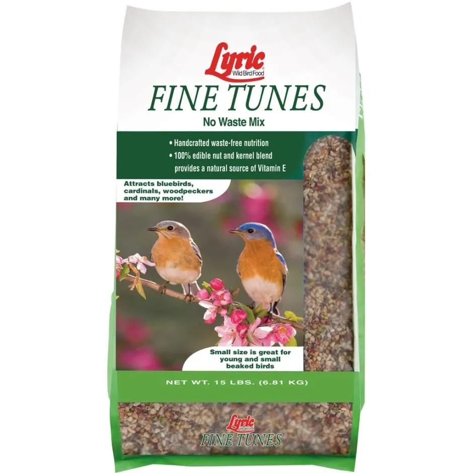 LYRIC FINE TUNES NO WASTE WILD BIRD MIX