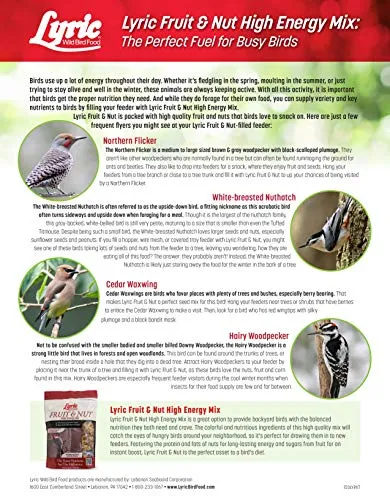 Lyric Fruit and Nut Wild Bird Seed - High Energy Wild Bird Food Mix - Attracts Woodpeckers, Chickadees & Other Songbirds - 5 lb bag