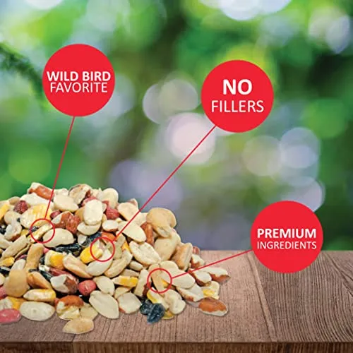 Lyric Fruit and Nut Wild Bird Seed - High Energy Wild Bird Food Mix - Attracts Woodpeckers, Chickadees & Other Songbirds - 5 lb bag
