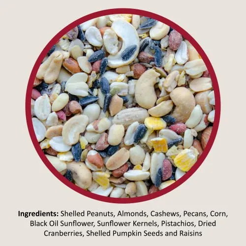Lyric Fruit and Nut Wild Bird Seed - High Energy Wild Bird Food Mix - Attracts Woodpeckers, Chickadees & Other Songbirds - 5 lb bag