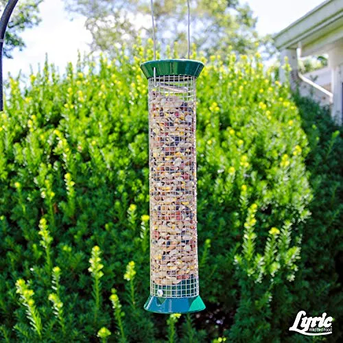 Lyric Fruit and Nut Wild Bird Seed - High Energy Wild Bird Food Mix - Attracts Woodpeckers, Chickadees & Other Songbirds - 5 lb bag